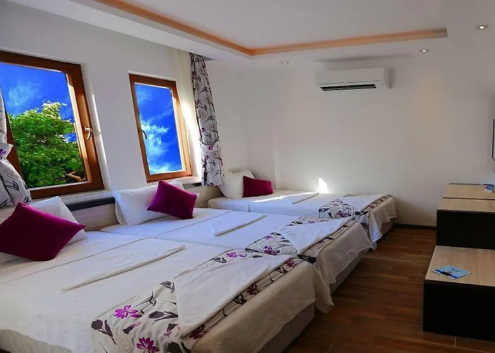 Kleopatra Hermes 3*